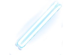 使用新的鱼缸要注意什么